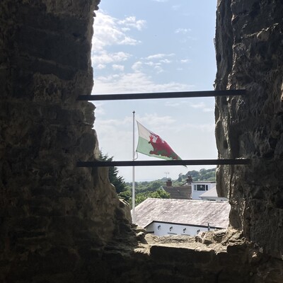 sbectol@toot.wales