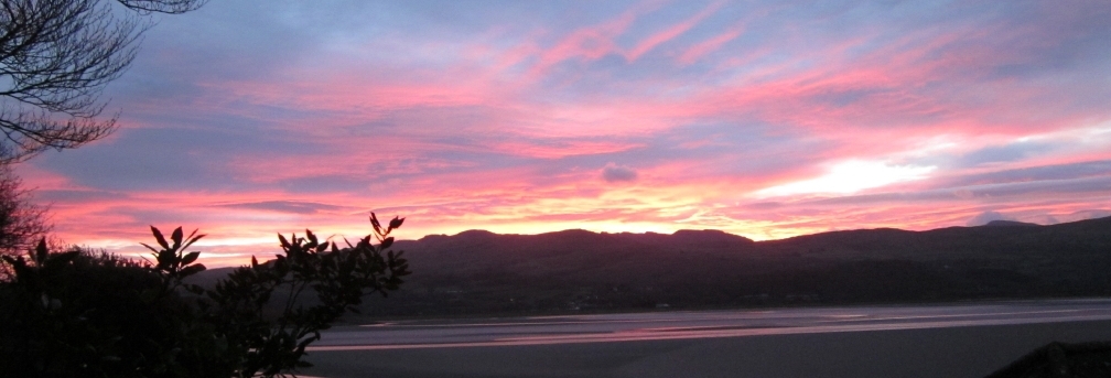 Header Image