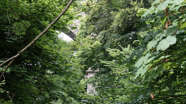 An old stone viaduct peeking out behind masses of green leafy trees