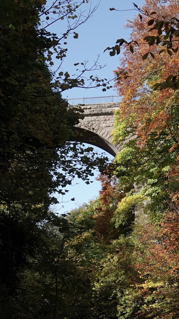 A portrait orientation view of the arch of an old railway viaduct, with blue sky behind, and many coloured trees (dark and light green, orange and yellow) in front to the left and right of it.
