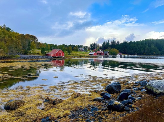 The image captures a scenic waterfront setting featuring a calm body of water reflecting a cloudy sky. A rocky shoreline with pale yellow seaweed and dark rocks is visible in the foreground. Across the water, there are several red wooden buildings, including a boathouse, set against a backdrop of dense green trees. The overall atmosphere suggests a peaceful, natural environment, likely in a northern or coastal location.