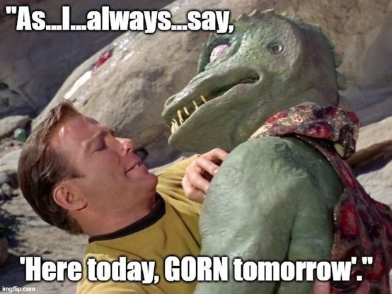 Kirk wrestling with a Gorn from TOS.

"As I always say, here today, GORN tomorrow."