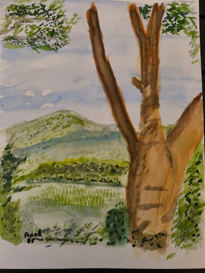 Das Bild ist ein Aquarell, das eine Landschaftsszene darstellt. Im Vordergrund befindet sich ein markanter Baumstamm mit einer rauen, braunen Rindenstruktur, die an der Spitze einen Y-förmigen Spalt aufweist. Der Baum ist von grünem Laub umgeben, wobei einige Blätter in den oberen Ecken des Bildes zu sehen sind. Der Hintergrund zeigt sanfte grüne Hügel mit unterschiedlichen Grüntönen, die eine üppige Landschaft andeuten. Der Himmel ist hellblau mit einigen weißen Wolken, die der Szene Tiefe verleihen. Das Gemälde ist mit "Frank" und der Jahreszahl "25" in der unteren linken Ecke signiert. Die Gesamtkomposition ist ausgewogen, wobei der Baumstamm die Aufmerksamkeit des Betrachters auf sich zieht, während der Hintergrund eine ruhige und natürliche Umgebung bietet.

Bereitgestellt von @altbot@fuzzies.wtf, privat und lokal erstellt mit Ovis2-8B

🌱 Verbrauchte Energie: 0.188 Wh