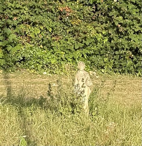 A small statue sits in a patch of unmowed grass, basking in early morning sun.