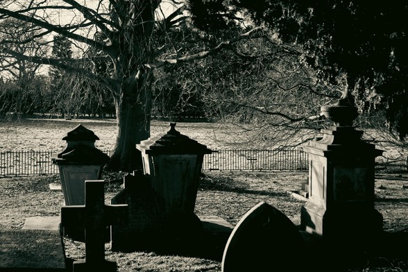 Gravestones in the shadows under a tree.