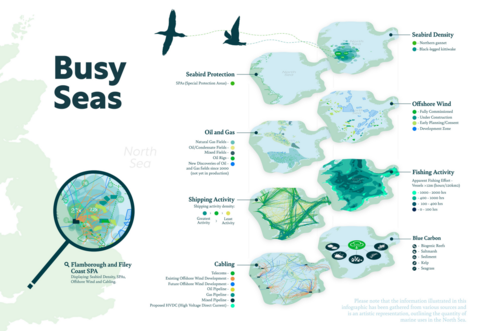 This is a series of illustrations of maps of marine use, including seabird protection, oil and gas, shipping and cabling. The title is 'busy seas'