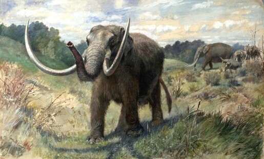 A mastodon