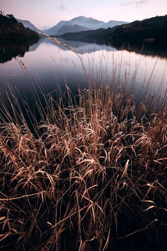 A tranquil sunset at Llyn Padarn in Eryri. Yr Wyddfa reflected in the still water in the background. Golden reeds fill the foreground.