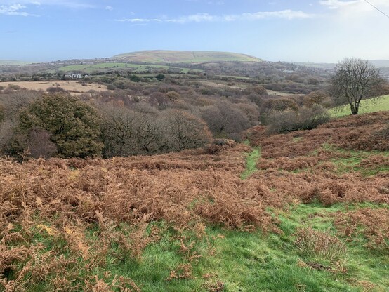 Autumn valley view
