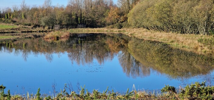 Still lake reflecting the trees on its banks and a deep blue sky above. A wooden bird hide can be seen on the far shore