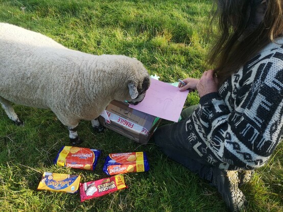 Panda receiving another fan letter and a good stash of Digestive biscuits