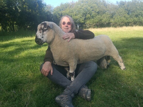 Panda after shearing, nearly climbing into my lap. He's not so massively fluffy but you can see what a handsome chap he's becoming.