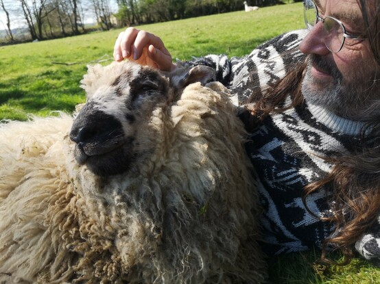 Panda cuddling up to me and receiving gentle skritches atop his head on a lovely relaxing summer day.