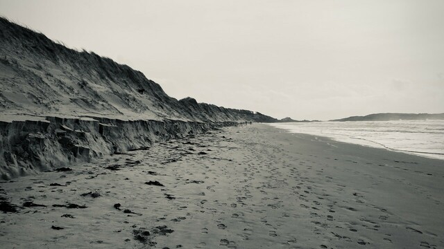 Black and white photo of Penrhos near Llanddwyn. Sand eroded from base of the sand dunes, but it's all just a dynamic system. High tides eroded the summer sand. Daft dog half way up a dune in the distance.