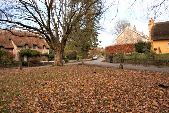 A country lane forks creating a square of grass covered in autumn leaves fallen from the trees, one of which can be seen at the corner of the square. Either side of the country lane are thatched cottages