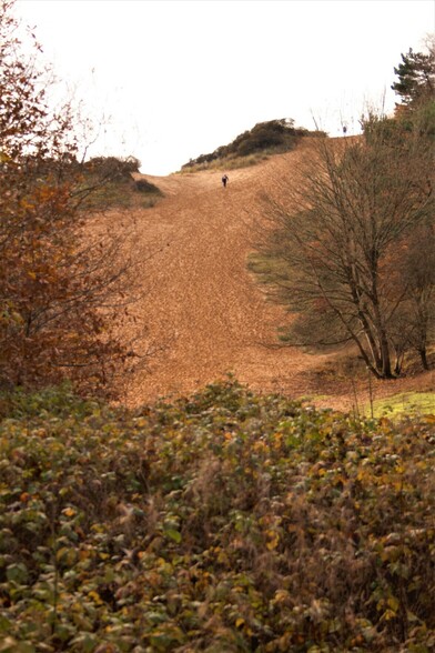A very tall sand dune framed by bushes in the foreground and trees either side. Two figures can be seen, one at the top of the dune, one still climbing it. The figures look very small, showing just how big the dune is.