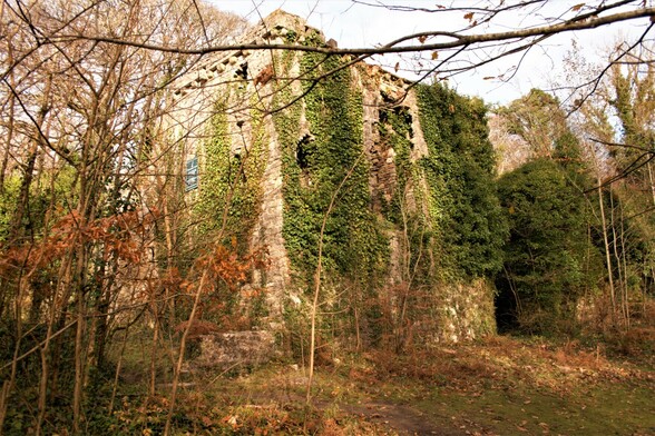 A ruined stone fortified mansion. The walls are covered in ivy and the building is closed surrounded by trees