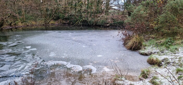 A frozen pond surrounded by trees and grass covered in a heavy frost