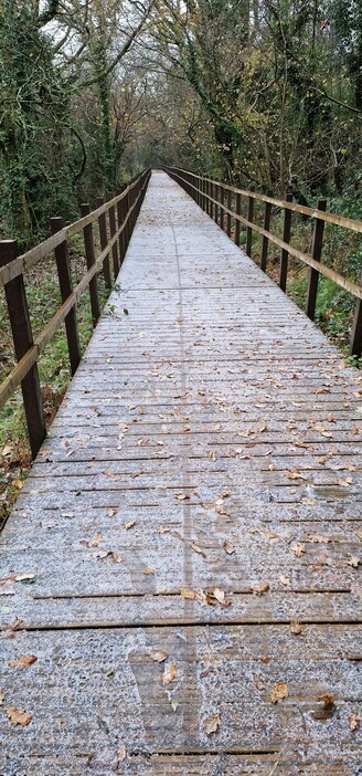 A wooden boardwalk between trees, the boardwalk is enclosed in both sides by wooden fences and is covered in a heavy frost