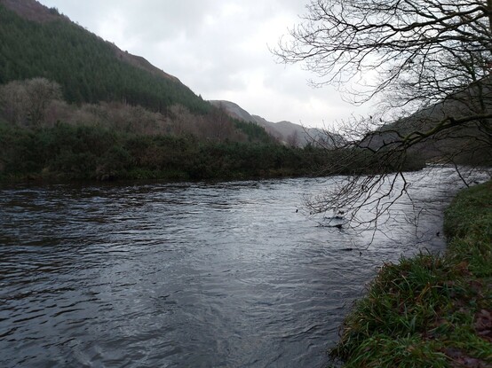 Rheidol river