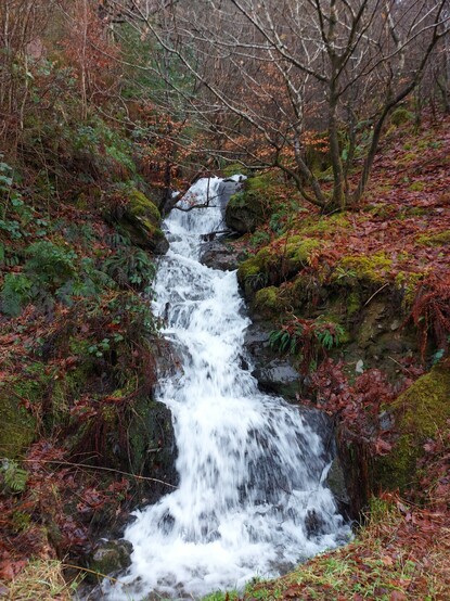 Waterfall