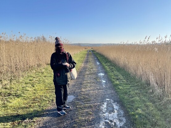 A wetlands track through tall reeds, a warmly wrapped person standing facing the camera, blue sky and bright winter sunshine 