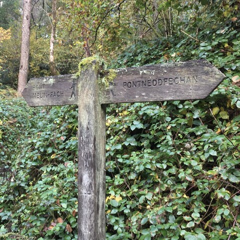 Colour photo shows old weathered signpost in front of green bushes with trees behind. With difficulty the wording can just about be made out as PONT MELIN-FACH to the left, and PONTNEDDFECHAN to the right. 