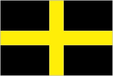 The flag of Dewi Sant / St David - a gold cross on a black background 