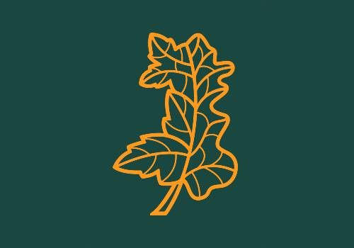 A leaf in the shape of Wales
