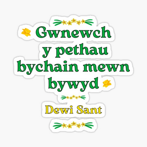 Gwnewch y pethau bychain mewn bywyd