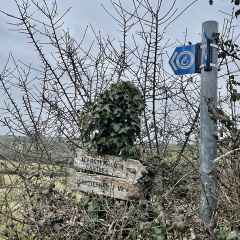 A colour photo, details are as indicated in the main text of this post. 