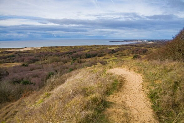 Looking over sand dunes covered in small trees, bushes and grass in a variety of shades of green to a cold grey sea and in the far distance, the caravans and buildings of Porthcawl. The sky is blanketed in thick grey clouds