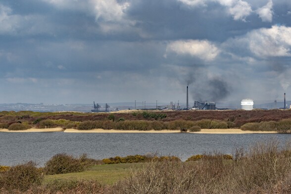 Looking over part of a small lake surrounded by a mixture of Trees, shrubs, grass and reeds. In the distance a line of industrial buildings,; chimneys, cranes, storage tanks and other types.  The tallest chimney is belching dark smoke into a heavily clouded sky
