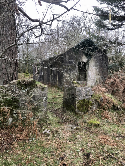 An abandoned building on Coity Walia hidden behind water courses, undergrowth and possibly magic! 