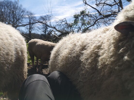 You can see my legs where I am sitting down and I am bracketed on both sides by large amounts of fluff.