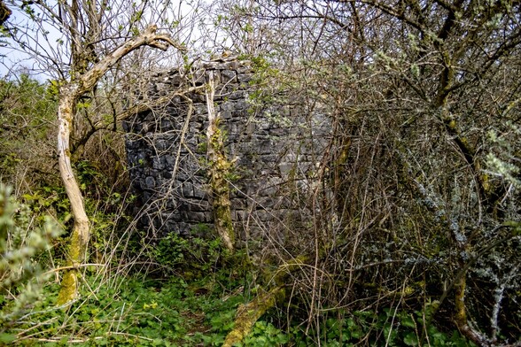 My first view of the ruined windmill, a curving wall made from large grey stone blocks, rises to about 4m, everything above that height has long since been lost. Trees and shrubs encroach on all sides and the ground is covered in lush green nettles