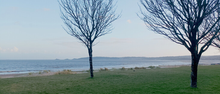Beach scene: Two bare trees on a grassy knoll, wide beach behind them, late afternoon light.