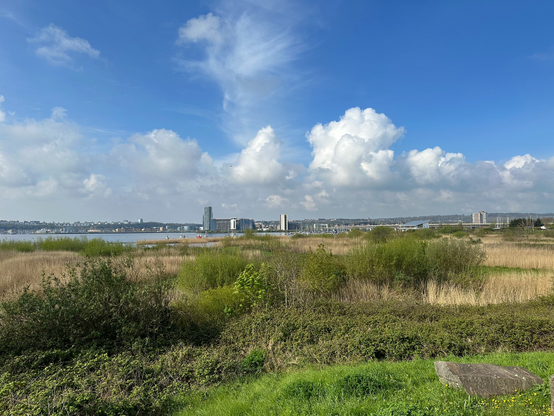 Views across grasslands and wetland coastal areas with the estuary and Cardiff Bay marina in the distance. A number of tall buildings are in the background with lots of open space and greenery in the foreground. A few white fluffy clouds and bright blue skies. 