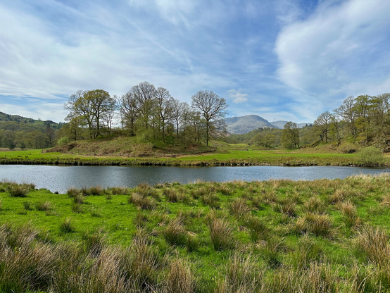 Large grassy fields with a river running through the middle of the fields. A number of trees on the far side of the river with some hills and mountains visible in the distance. Blue sky and mixed white clouds.