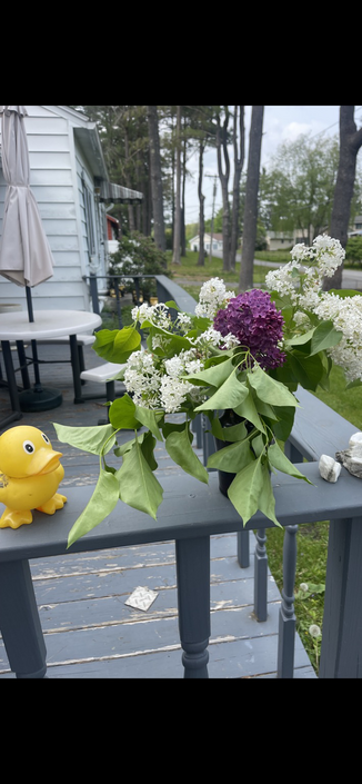 Rubber duck with bouquet of lilacs 