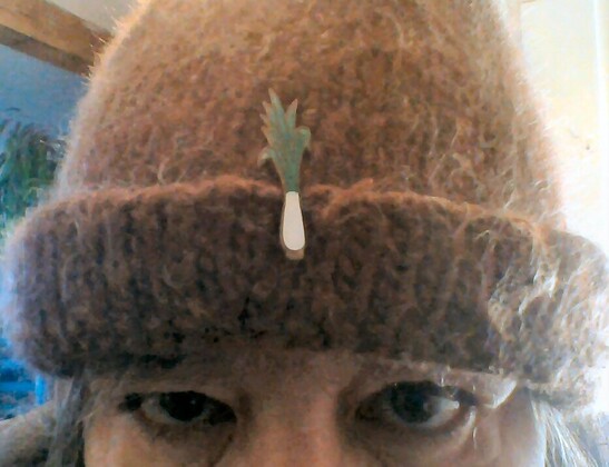 Two eyes peeping out from under a brown woolen #MonmouthCap with a small enamelled metal leek pinned to the front. 