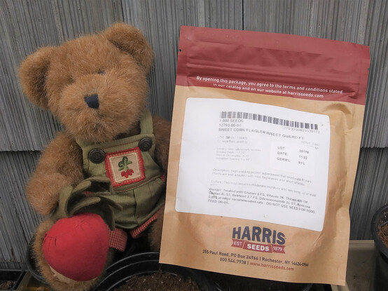 A light brown teddy bear in green overalls sits looking directly at the camera he is holding a beet in his right paw.  There is a bunch of beets embroidered on the bib of his overalls. 
He has a seed packet in his left paw.  Packet is marked Flagler sweetcorn.
