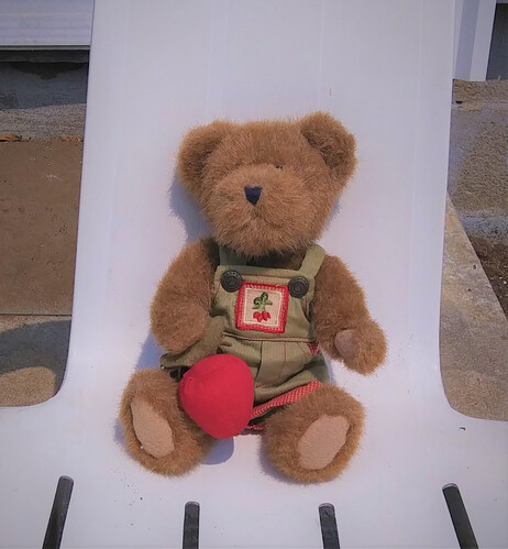 A light brown teddy bear in green overalls sits looking directly at the camera he is holding a beet in his right paw.  There is a bunch of beets embroidered on the bib of his overalls.  He sits in a white plastic chair in full sun.