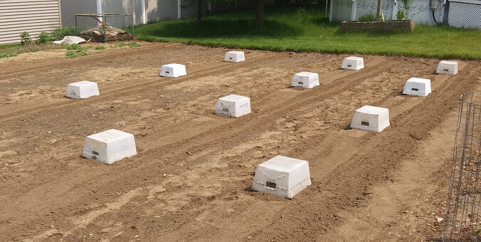 three rows of cucumbers and squash covered with white plastic totes to protect them from pests and cold for the night.