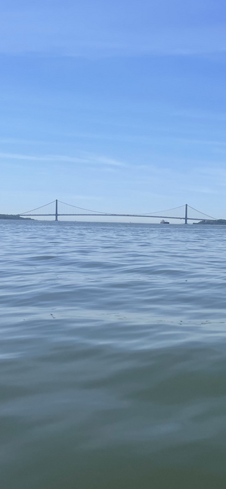 Verrazzano Narrows Bridge