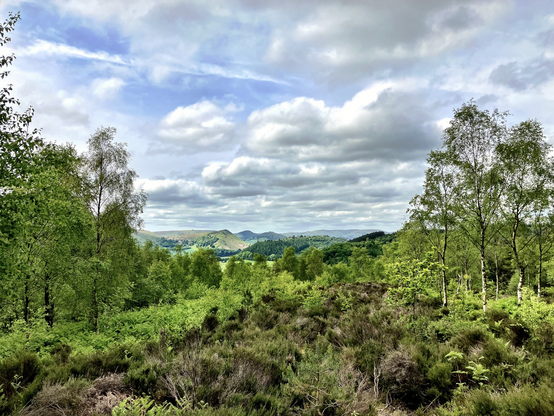 View from the end of Nash Wood towards Hergest Ridge