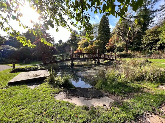 A walk with our dogs in Bryngarw Country Park in the autumn sunshine of October 2022.
