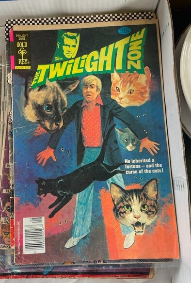 He inherited a fortune... And the curse of the cats!  Twilight Zone comic cover