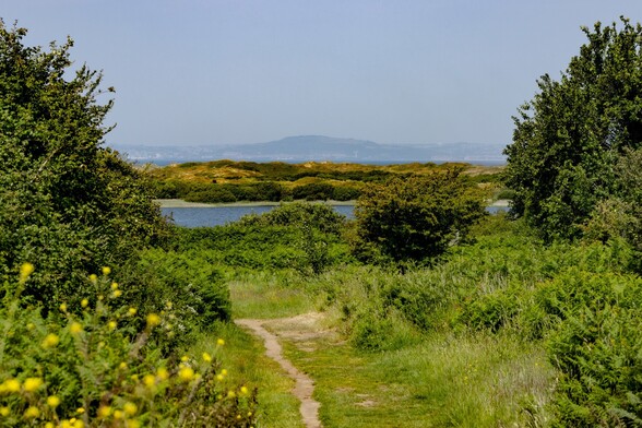 A narrow path leads away through bracken and bushes towards a still blue pool. Behind the pool, sand dunes covered in vegetation rise up. In the far distance, masked in a slight haze, the buildings and hills of Swansea can be seen over a strip of Swansea Bay
