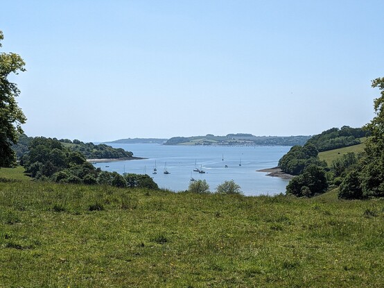 A landscape consisting of grass, trees and a small bay with boats in it, connected to the sea in the distance 